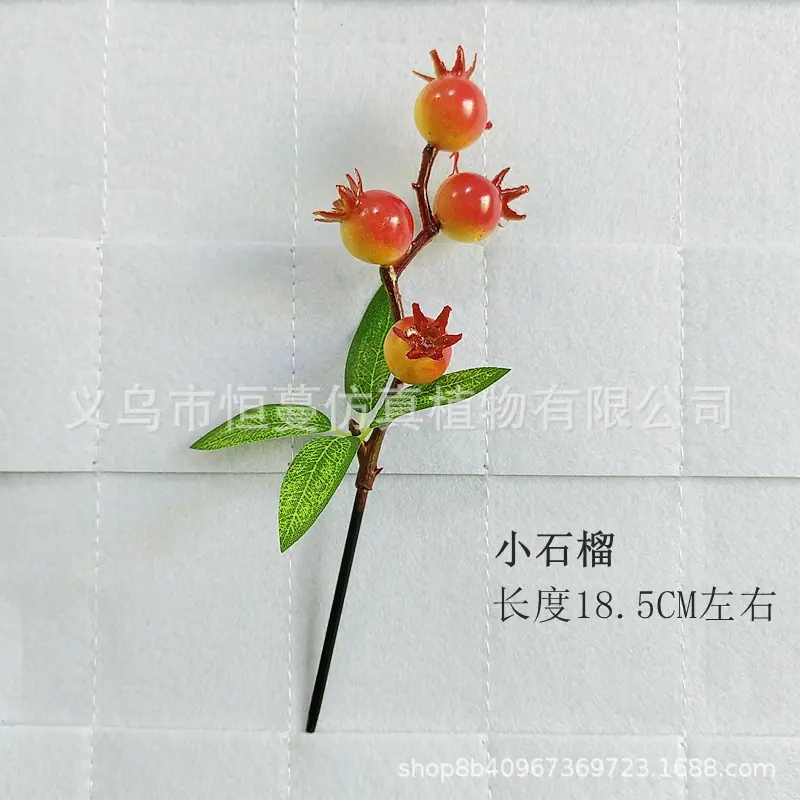 微信图片_20250106123729