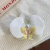 Didy Não Tem Medo do Mesmo Grampo de Cabelo de Phalaenopsis Verde Flor Lateral de Cabeça Flor Simulada Acessório de Cabelo Viagem à Beira-Mar
