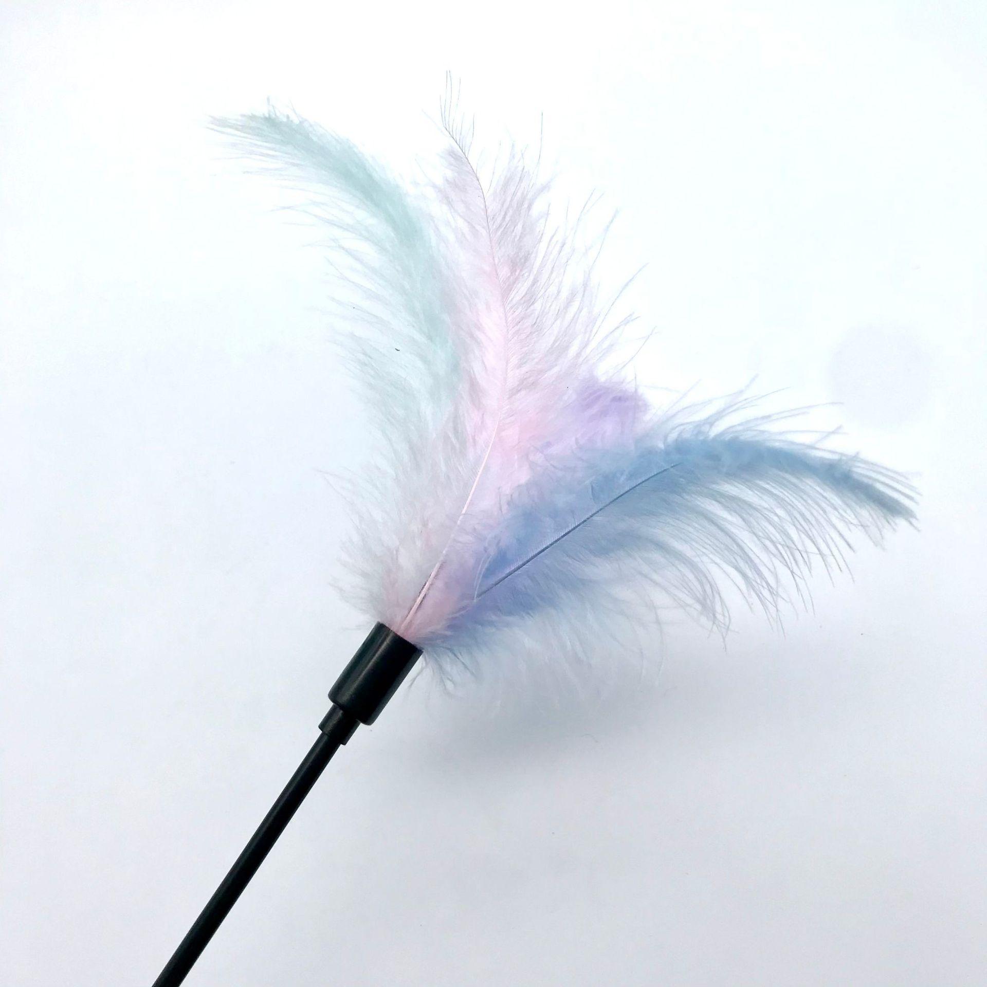 微信图片_20221003172657