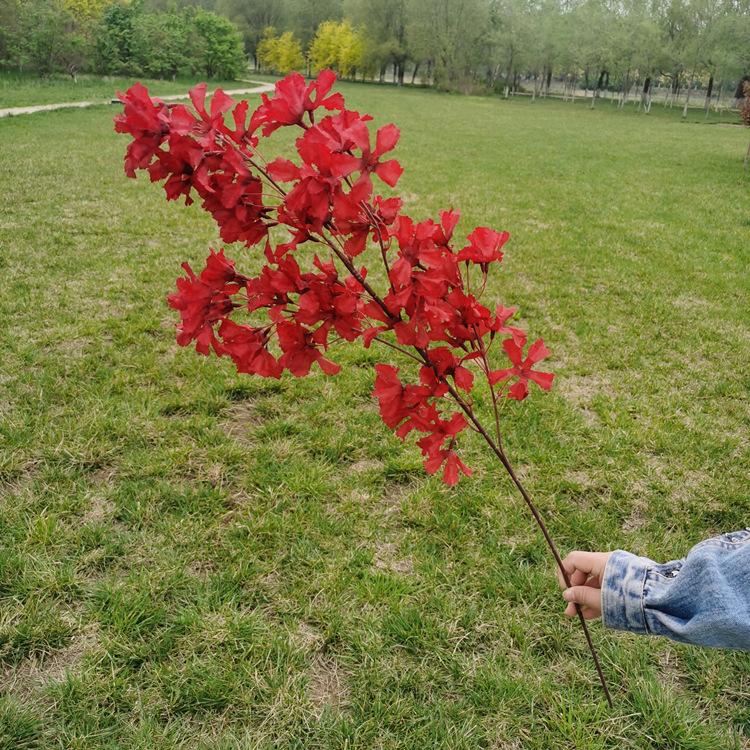 IMG_20210421_100544_副本