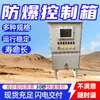 La caja de control eléctrico a prueba de explosiones es fácil de instalar. La Caja de Control Antiexplosiva Tiene una Larga Vida Útil. Soporta Caja de Control Eléctrico Antiexplosiva Personalizada