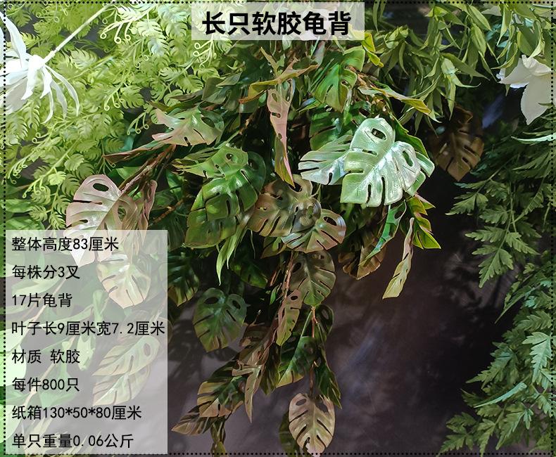 产品信息图-1.jpg