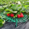 Soportes para Fresas Estanterías para Plantas de Jardín para un Crecimiento Saludable