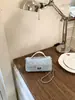 Bolso de Mano para Mujer Estilo Chanel 2026 Nuevo Modelo de Primavera, Bolso de Lujo de Gama Alta de Nicho, Bolso Cruzado Acolchado con Cadena