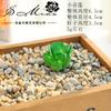 020 Suprimentos Criativos DIY para Cabeças de Flores de Suculentas, Acessórios para Arranjos Florais, Venda Direta do Fabricante, Flores Artificiais de Plástico e Plantas Verdes