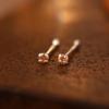 Plata S999 Pendiente de Diamante Único para la Oreja para Levantar los Orificios de las Orejas Pendientes Nuevo Estilo Simple Mini Zircón de Cuatro Garras Clavo para el Cartílago de la Oreja Aguja Anti-bloqueo Palito para la Oreja
