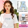 Nuevos Parches de Letras Bordadas para Toalla de Chenilla Azul Cielo Autoadhesivos para Ropa y Gorras de Béisbol Parches Decorativos Versátiles