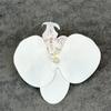 Simulación Cabeza de flor de Phalaenopsis lirio falso decoración de boda hecho a mano DIY flor de muñeca pasador flor material adornos al por mayor
