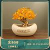 Árbol de la fortuna, adornos para árbol de efectivo, hogar, sala de estar, oficina, recepción, decoración del hogar, empresa, tienda, regalo de inauguración