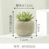 12 Tipos de Plantas Suculentas Artificiales en Maceta para Elegir, Artículos de Decoración para Escritorio del Hogar y la Oficina, Directo del Fabricante, Soporte para Personalización
