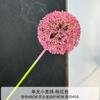 Nueva bola de cebolla para boda, simulación de flor, sala de estar, hogar, flor decorativa, diente de león individual, hortensia de plástico planetaria