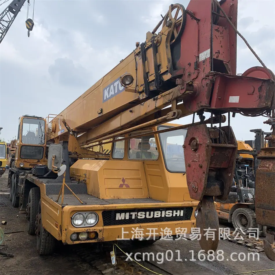 30t crane (5)