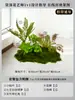 Musgo para Paisajismo de Plantas Verdes Plantas Artificiales Decoración Flores Artificiales Combinación Tropical para Interiores Paisaje de Ventana Persa Arreglo de Césped