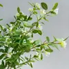 Plantas Verdes Artificiales, Ramas de Sauce Nieve, Fruta Verde Perenne, Decoración de Balonmano, Flores Artificiales, Arreglo Floral para el Hogar, Estilo Coreano, Pequeño Fresco y Salvaje Divertido