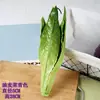 Modelos de Frutas y Verduras Falsas de Simulación Caucho Suave Varios Tamaños Pepino Verde Amargo Berenjena Tienda Decoración de Cocina Artículos de Exhibición Accesorios de Juego