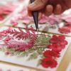 Flores secas y especímenes de plantas de flores marco de fotos repujado a mano marcapáginas lámpara de escritorio pegamento nail art suministro transfronterizo venta al por mayor 18 piezas