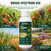 Solução KineShineX para Proteção e Cuidado de Fungos em Plantas Agrícolas: Absorção e Transmissão Sistêmicas, Combinando Prevenção e Cuidado