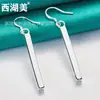 Aretes rectangulares sólidos aretes de plata joyería femenina joyería de la belleza del Lago Oeste