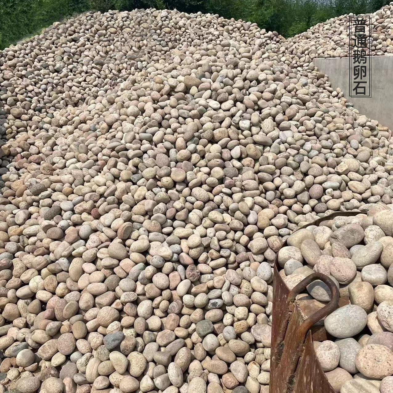 普通鹅卵石