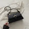 Bolso de mano de moda versátil acolchado de gran capacidad con cierre magnético transfronterizo, nuevo bolso cruzado para mujer, bolso de hombro, bolso cuadrado pequeño