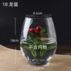 Tanque Redondo Transparente de Vidrio para Peces Dorados Micro Paisaje Florero Hidropónico Escritorio Huevo de Dragón Tanque Ecológico para Peces Florero Copa de Vino Maceta