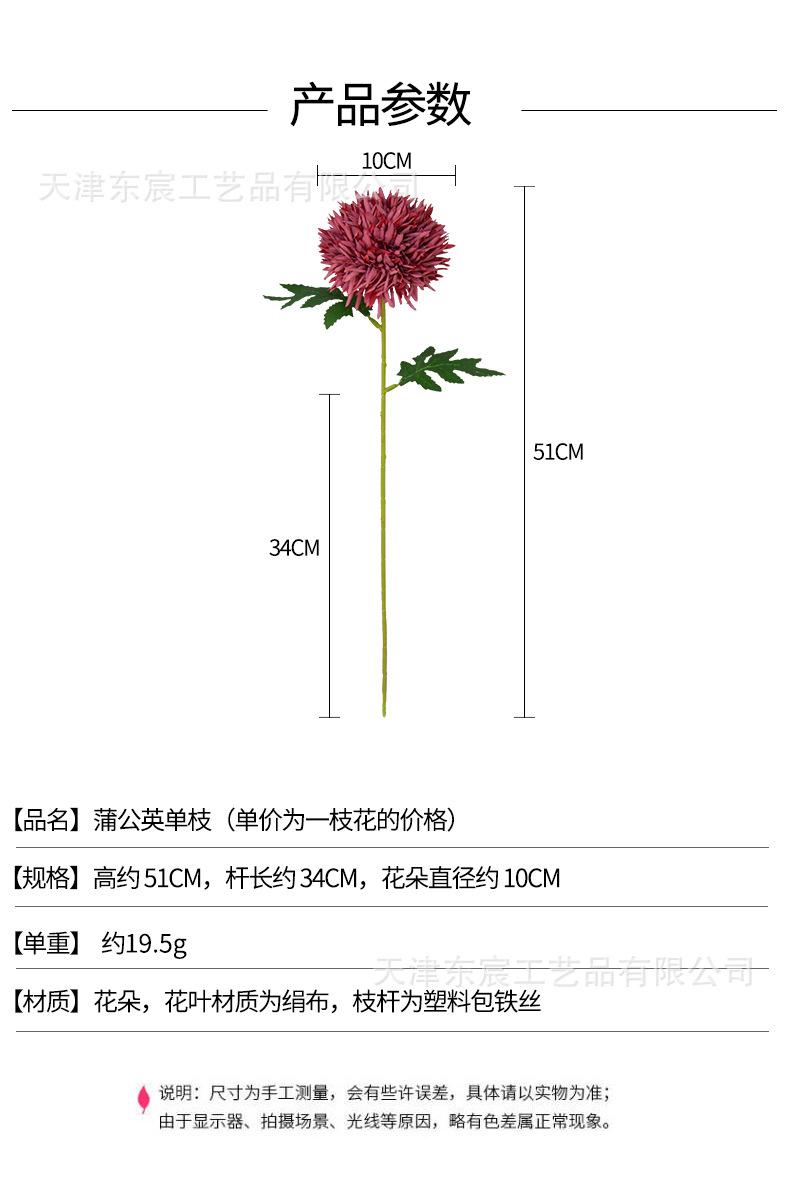 详情_01.jpg