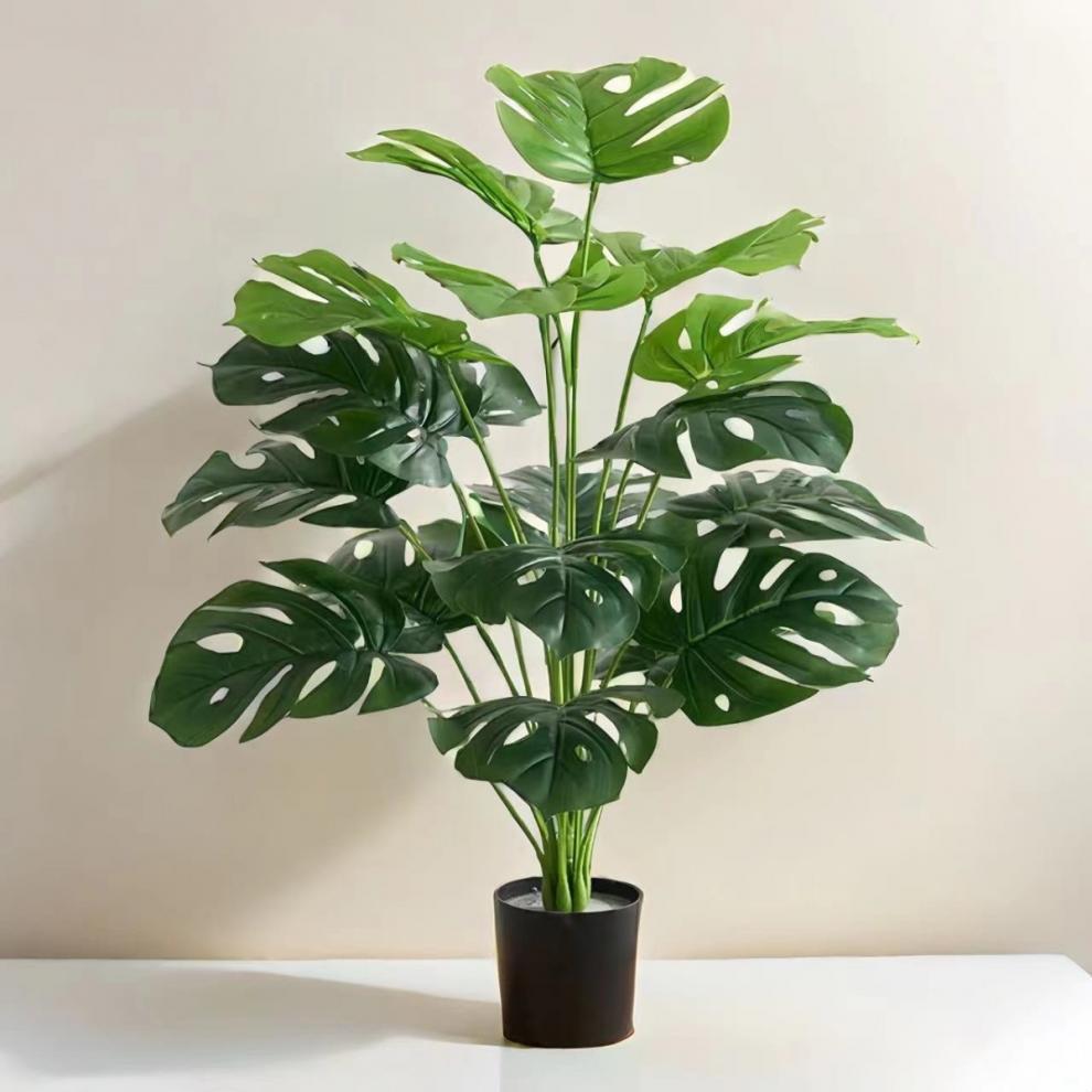 0c891e7c-c6eb-41c1-b363-fe65adfb150a.jpe