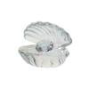Artesanías de Cristal, Conchas de Animales Simuladas, Decoraciones de Diamantes, Adornos de Mesa del Mundo Submarino, Decoraciones de Cristal para el Recibidor, Transfronterizo