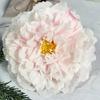 Flor de Peonía Imperial Flor de Boda Flor de Guía de Camino Fila de Flores Flor Decorativa Pared de Flores Decorativas Yema de Flor Decorativa