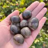 Pedra de Ágata com Grão de Madeira Preto Natural Pedra Lapidada Ornamento Pedra com Grão de Madeira Crianças Exploração Científica Caça ao Tesouro Europa e América