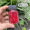 20ml Láser Mezclado Celebridad de Internet Explosivo Uñas Artísticas Lentejuelas Pegamento Funda de Teléfono Arena Movediza Mezclado Polvo Brillante Lentejuelas Brillantes