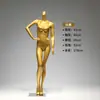 Loja de Lingerie Golden Intimates Modelo Maniquim Suporte de Exibição Sutiã Push-Up Feminino Manequim de Peito Meio Corpo Manequim de Quadril Masculino