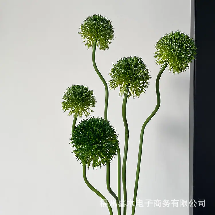 photo-output_8.JPG