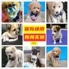 Correa para Gato, Arnés para Gato, Correa para Perro, Gatito Pequeño, Gato Joven, Suministros para Mascotas Perro Pequeño, Collar, Arnés