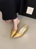 2026 Novos Sapatos de Salto Baixo Pontiagudos de Cor Sólida Estilo Retrô Francês para Mulheres Primavera e Outono Sapatos de Salto Baixo para o Trabalho Solado Macio Mary Janes de Vovó