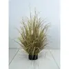 Planta de Hierba de Junco Simulada Personalizada Bonsái Decoración de Ventana Piso Hierba Cola de Perro Heno Césped Cebolla Planta Verde Planta en Maceta