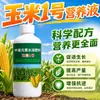 Maíz Número Uno Dorado Palo Grande Especial Fertilizante Foliar Granulado Completo y Promotor de Raíces Plántulas Fuertes Fertilizante Soluble en Agua Maíz Número Uno Hinchazón de Alto Rendimiento