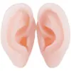 Modelo de ouvido silicone características faciais realistas material didático modelo display aparelho auditivo artificial orelha de prática limpeza de ouvido ensino adulto