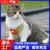 Nueva correa de flores para gato, arnés estilo chaleco para perro, venta al por mayor de artículos para mascotas, tienda de mascotas, gatito ragdoll