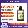 Processamento OEM e personalização de shampoo de melaleuca para comércio exterior transfronteiriço para controle de oleosidade, volumizador, anticaspa e antialergia fábrica OEM