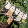 Calcetines deportivos de algodón para mujer Hongmuyuan 26, nuevos para otoño e invierno, frescos y elegantes, en un hermoso color marrón, disponibles para venta al por mayor.