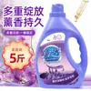 Detergente para Roupas Mingdi Lavanda Fragrância Duradoura Limpeza Profunda Evento de Presente do Fabricante