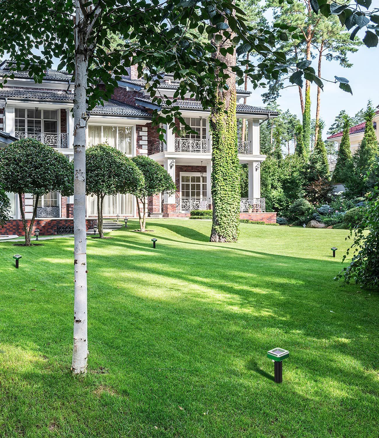 91cLNVtF1bS._AC_SL1500_