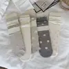 Meias Verão Finas Malha Vazada Absorventes de Suor Respiráveis Grande Bolinha Gaze Cano Longo Babado Renda ins Tendência