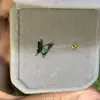 [Alto Rendimiento] Pendientes de Mariposa Estéreo Degradados, Femeninos, Geniales y Exquisitos, Pendientes Versátiles para Ropa de Trabajo