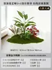 Musgo para Paisajismo de Plantas Verdes Plantas Artificiales Decoración Flores Artificiales Combinación Tropical para Interiores Paisaje de Ventana Persa Arreglo de Césped