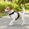 Nuevo arnés chaleco para mascotas, ajustable, duradero, con características reflectantes, adecuado para viajes al aire libre, paseos y pasear perros, artículos para mascotas