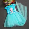 Vestido de Princesa Reina de Nieve Verano Elsa Ropa Infantil Vestido de Mujer Elsa Vestido Elsa Algodón Manga Corta
