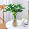 Plantas Hidropónicas Pluma de Primavera Filodendro en Maceta Interior Lluvia de Primavera Plantas Verdes Potos Perenne Cultivo en Agua Bueno Estilo de Escritorio Ins
