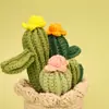 Bestseller transfronterizo: Plantas en maceta de cactus y suculentas, plantas verdes artificiales, plantas pequeñas tejidas a mano en maceta, bonsái que trae fortuna